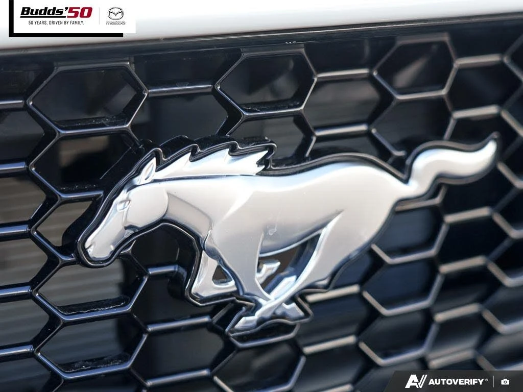 Ford Mustang GT Premium Fastback RWD, снимка 3 - Автомобили и джипове - 54569241