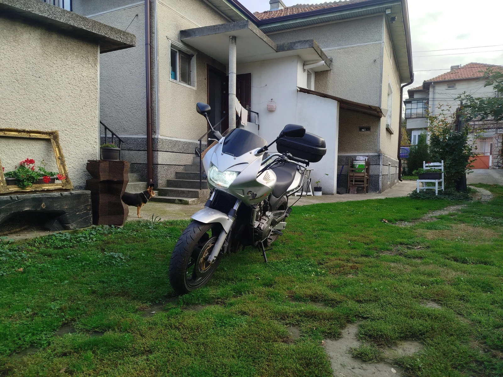Honda Hornet 600 S