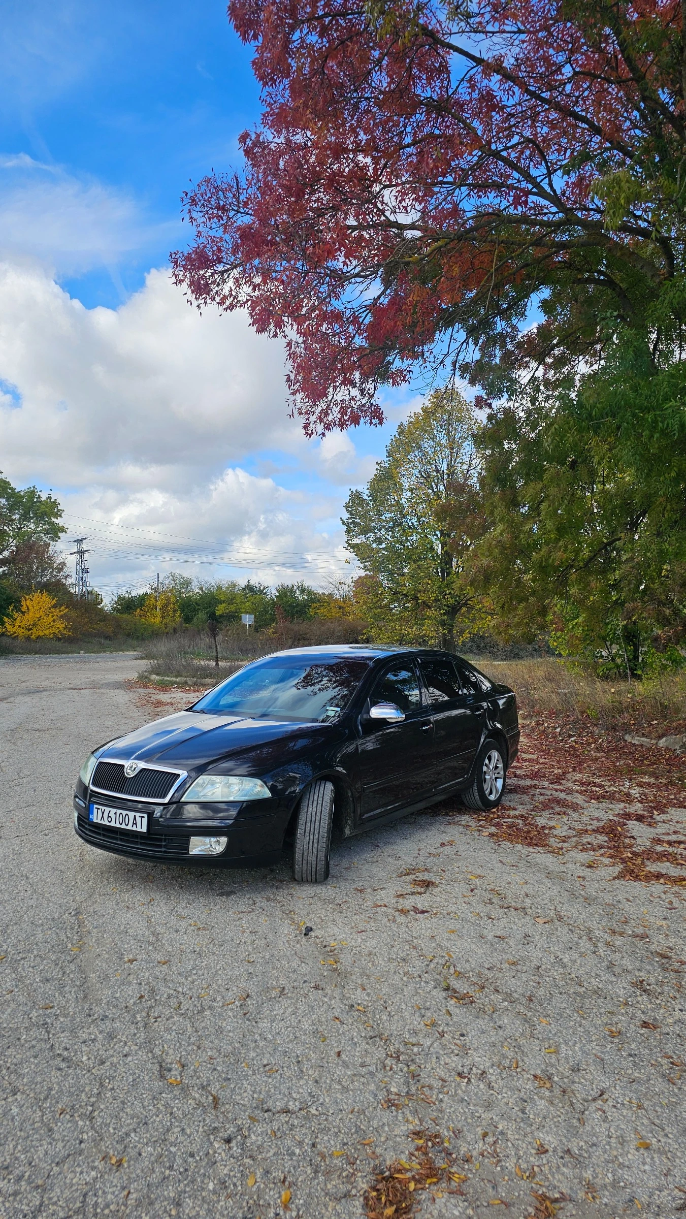 Skoda Octavia 1.9tdi | Mobile.bg   11