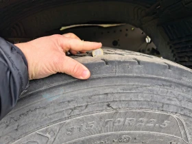 Man Tgx | Mobile.bg    5