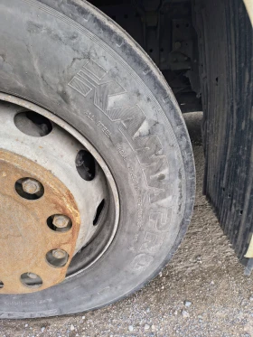 Man Tgx | Mobile.bg    4