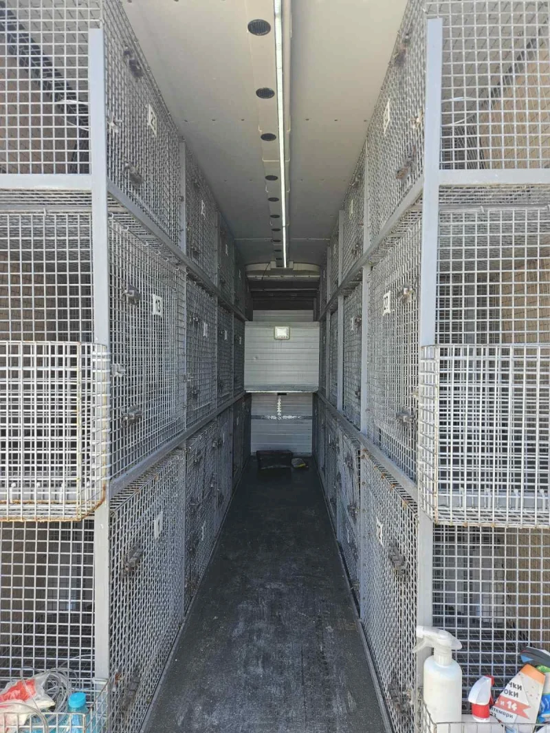 VW Crafter Легло, Темпомат, Климатик , снимка 10 - Бусове и автобуси - 52953737