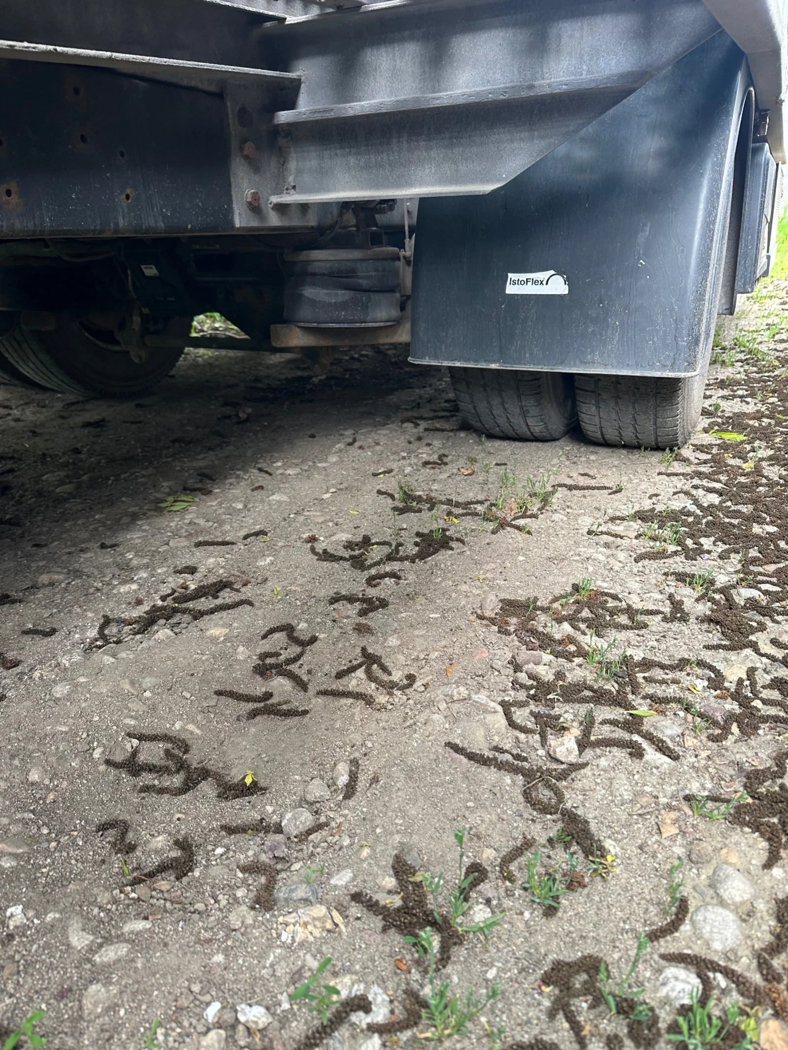 Iveco Daily 65C 65 C17 3.0 BI-TDI 170 kc EEV | Mobile.bg � ����������� 5