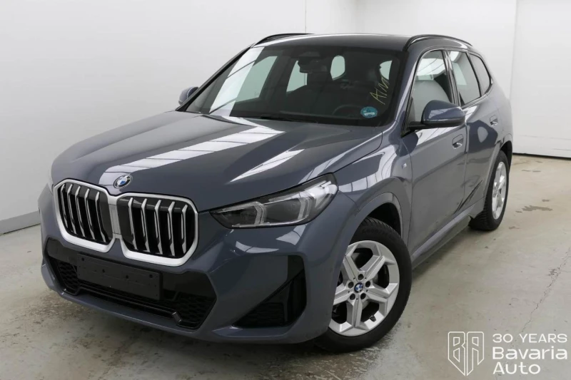 BMW X1 23d xDrive M Sport Paket Steptronic