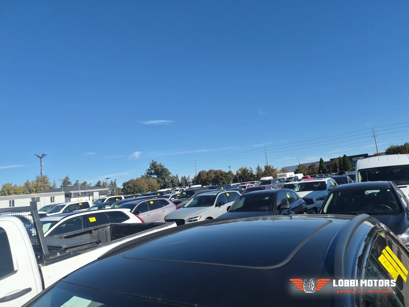 Audi Q8, снимка 7 - Автомобили и джипове - 56436004