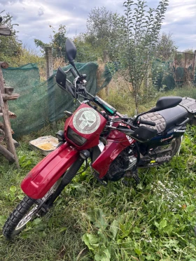 Suzuki SV, снимка 2