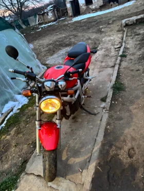 Suzuki SV, снимка 4