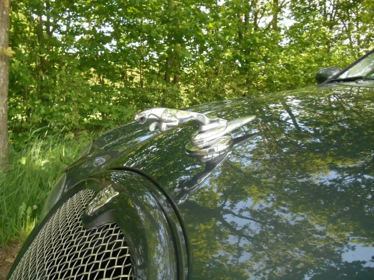 Jaguar S-type R SUPERCHARGED V8 - изображение 2