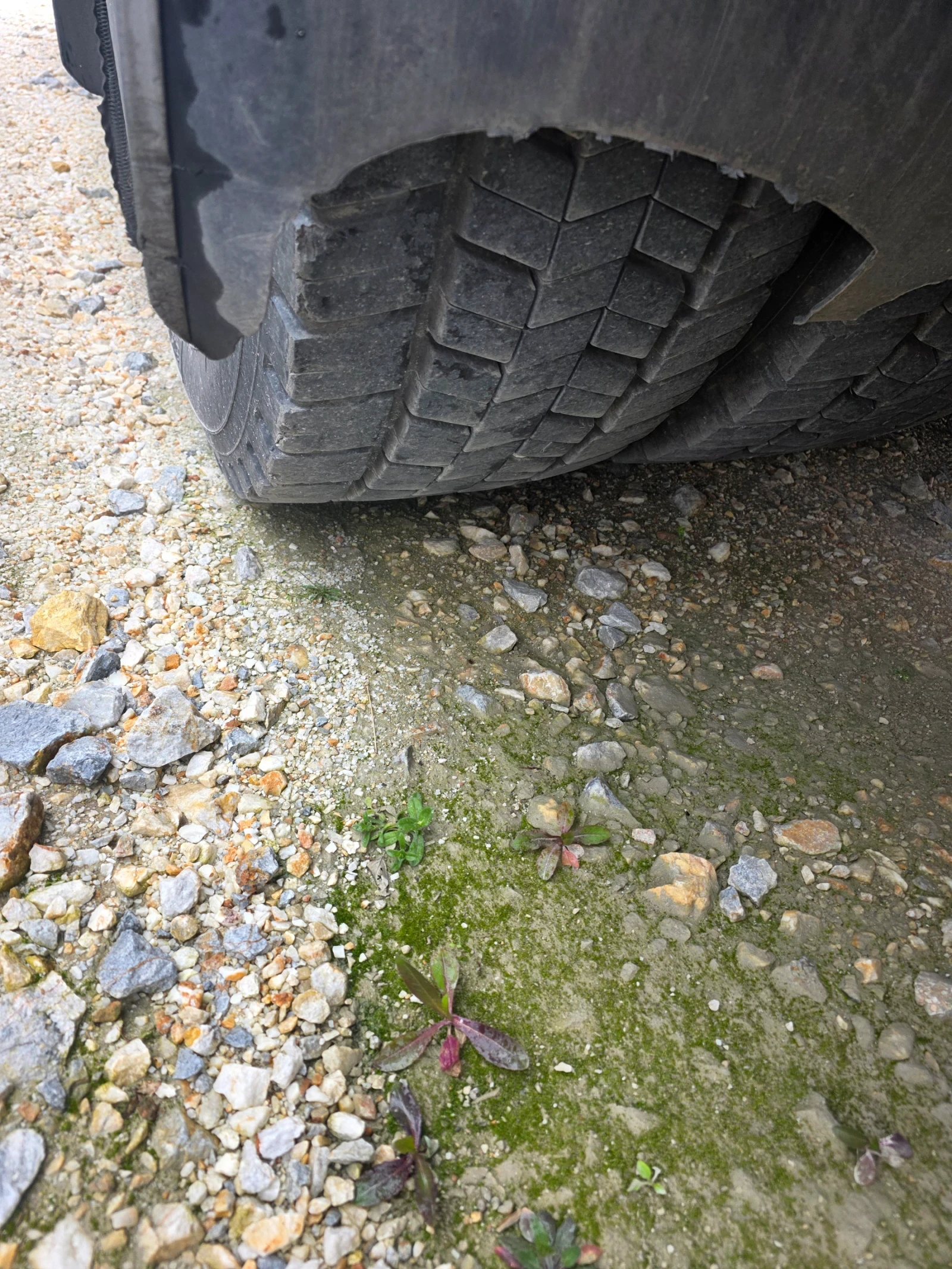 Renault Premium С борд, снимка 5 - Камиони - 53996886