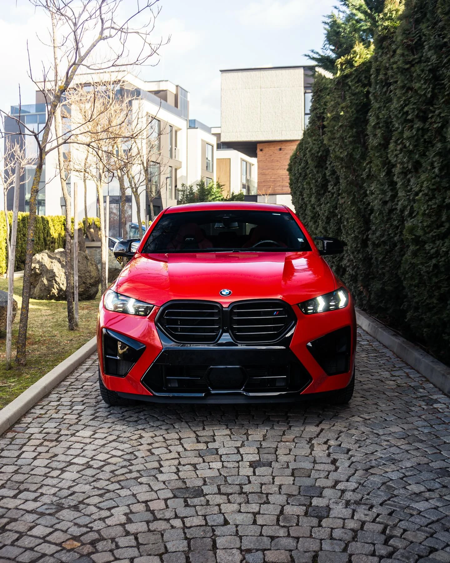 BMW X6  - изображение 2