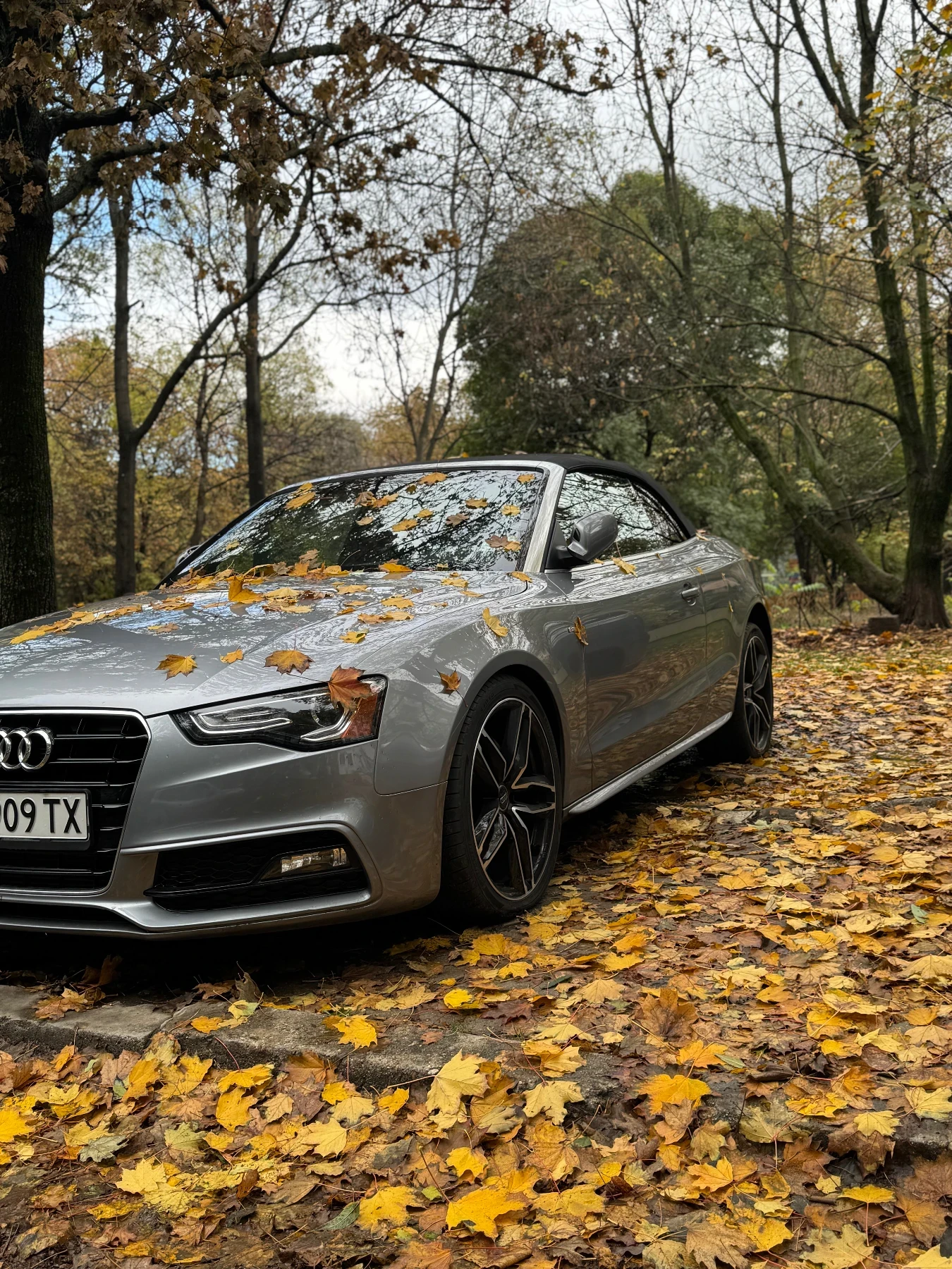 Audi A5 QUATTRO / B&O / 8ZF / 95000 КМ / ОБДУХ., снимка 4 - Автомобили и джипове - 54177087