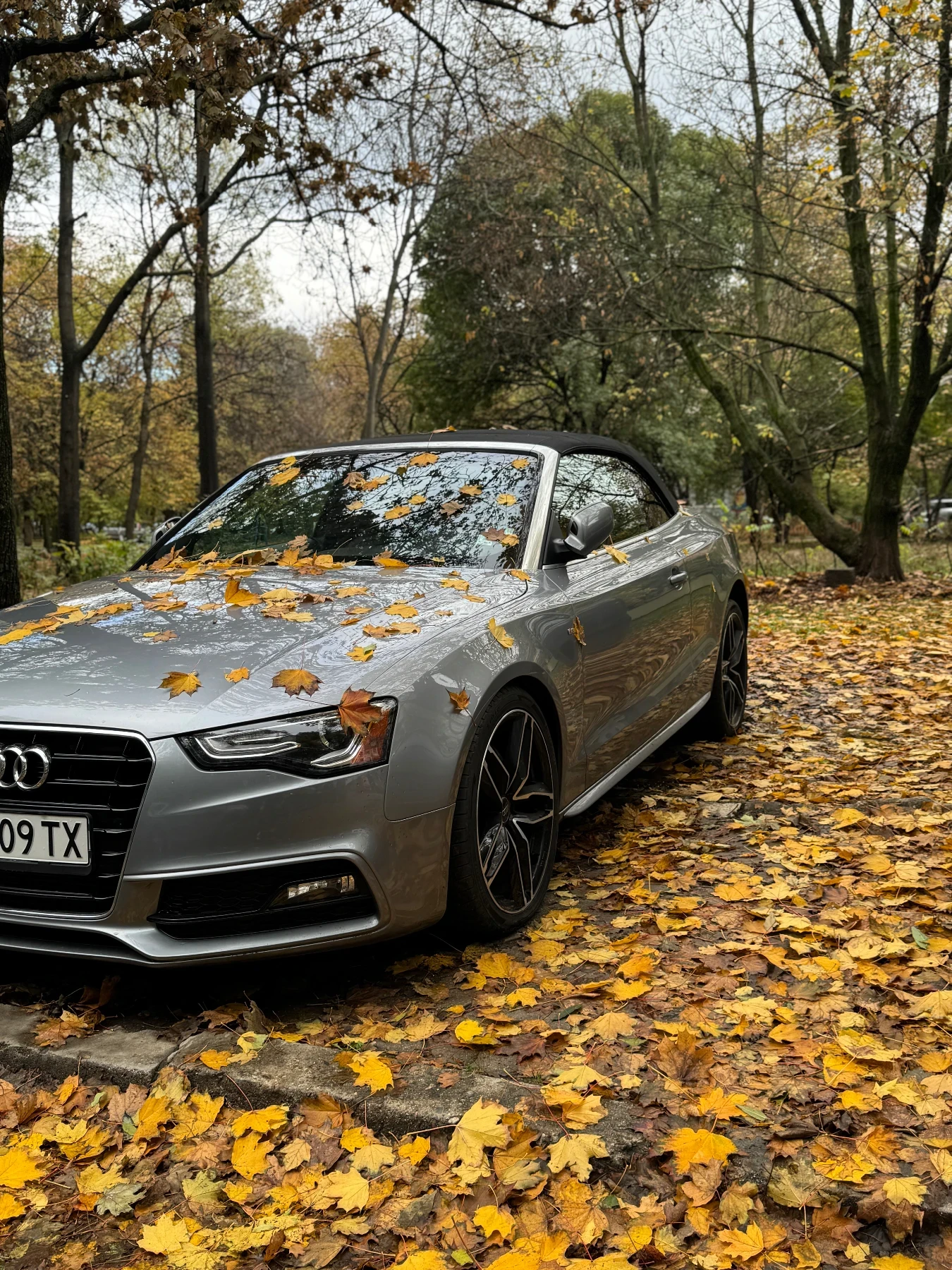 Audi A5 QUATTRO / B&O / 8ZF / 95000 КМ / ОБДУХ.