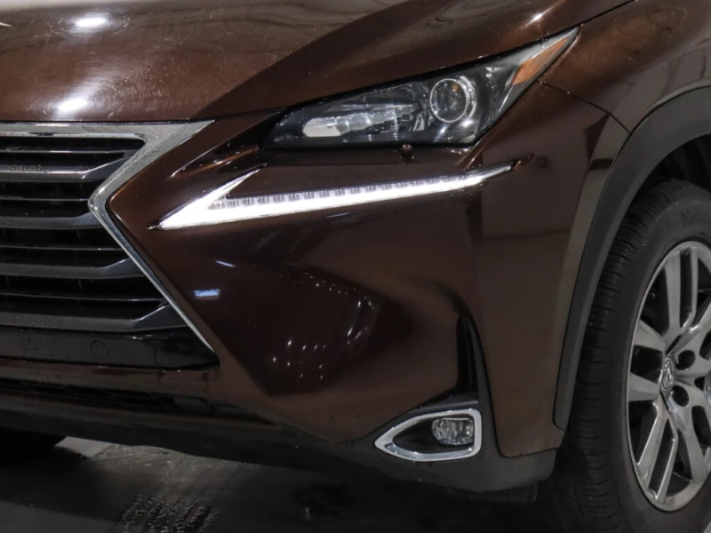 Lexus NX * / AWD / Autumn Shimmer Paint / Cognac Int / Came, снимка 8 - Автомобили и джипове - 52848470