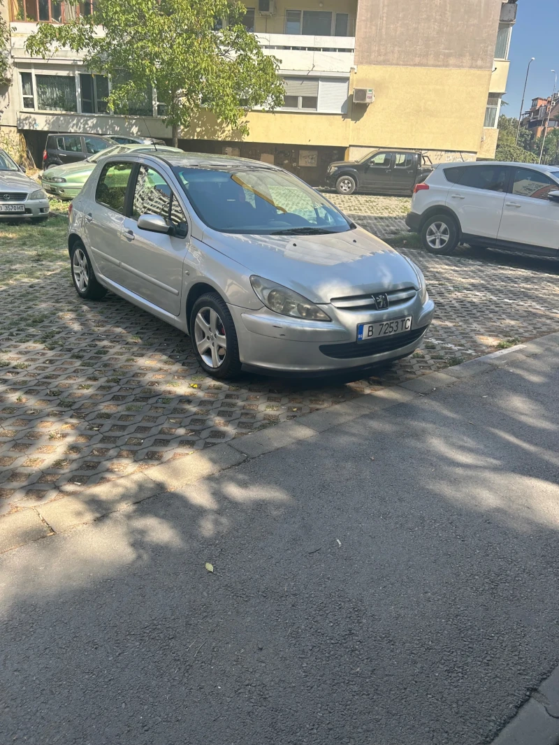 Peugeot 307, снимка 14 - Автомобили и джипове - 47460767