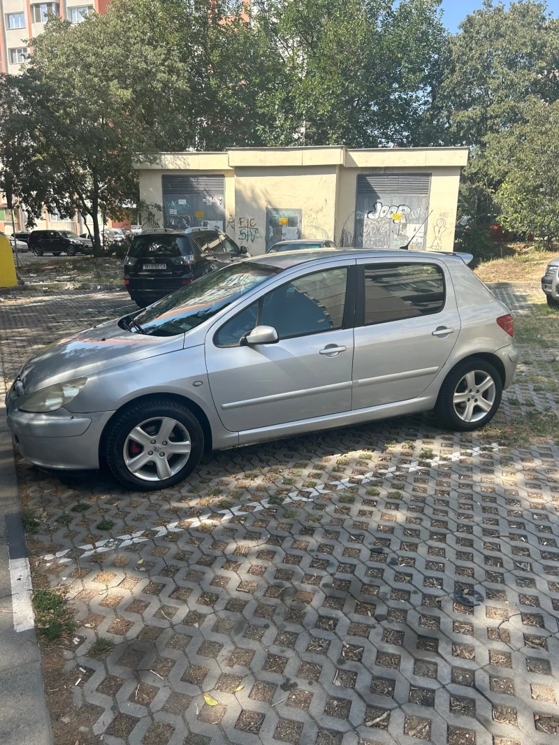 Peugeot 307, снимка 3 - Автомобили и джипове - 47460767