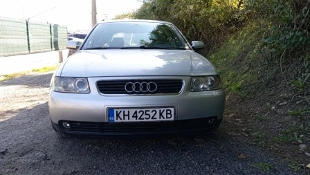 Audi A3 1, 9 TDI 101ks, снимка 1 - Автомобили и джипове - 48011925