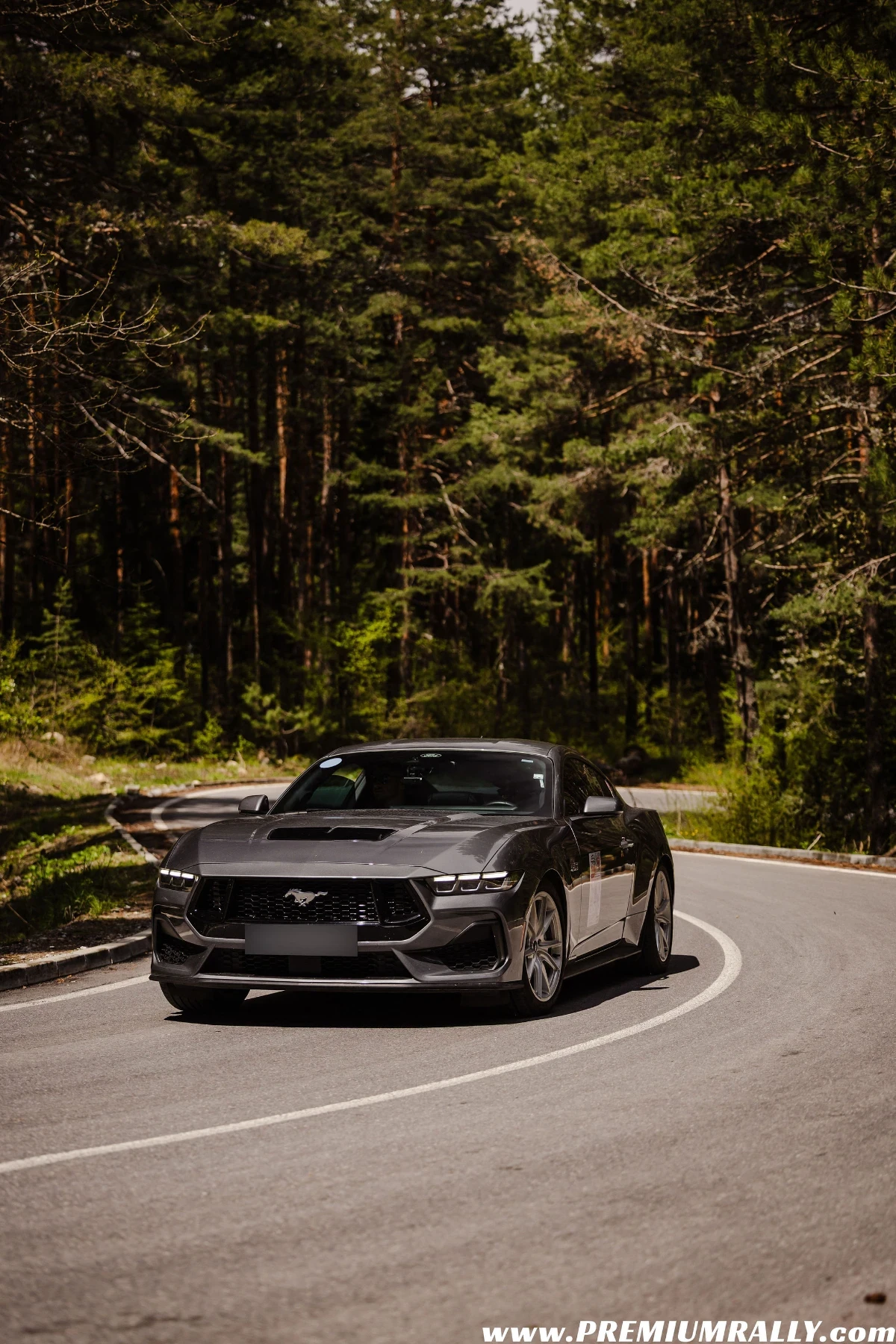 Ford Mustang GT performance , снимка 6 - Автомобили и джипове - 55212287