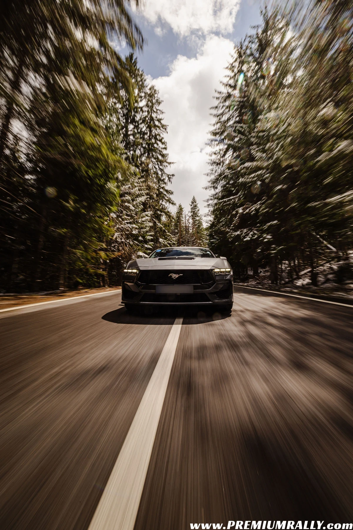 Ford Mustang GT performance , снимка 7 - Автомобили и джипове - 55212287