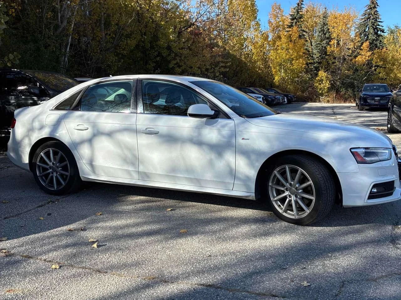Audi A4 * Progressiv plus * CARFAX * ОТ ПРЕДСТАВИТЕЛСТВО *, снимка 3 - Автомобили и джипове - 56734097