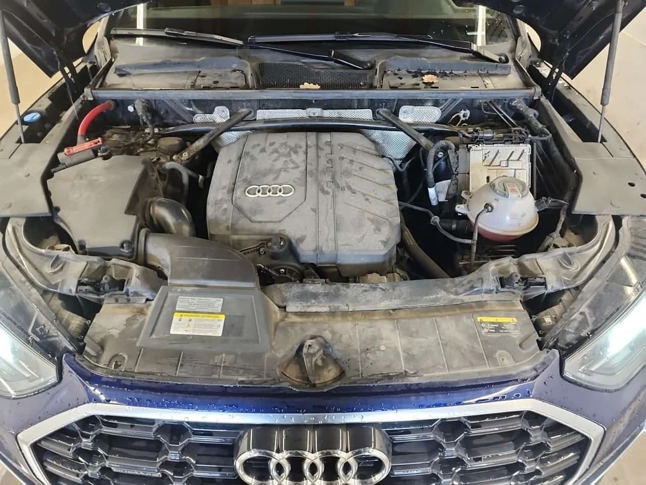 Audi Q5 * PROGRESSIV * ���� * ������� * 2 ����� | Mobile.bg � ����������� 15