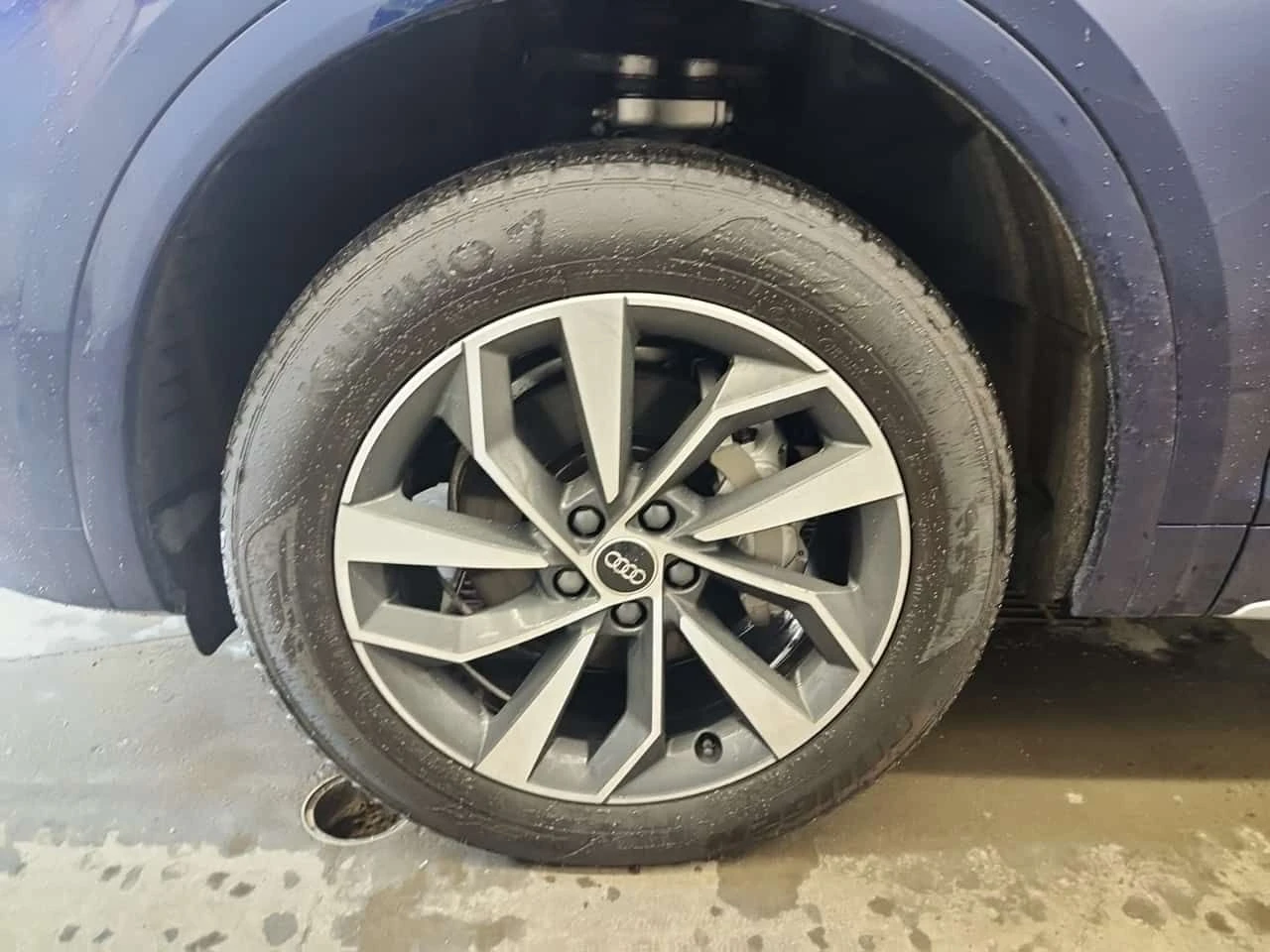 Audi Q5 * PROGRESSIV * ПАНО * ШИБИДАХ * 2 КЛЮЧА - изображение 6