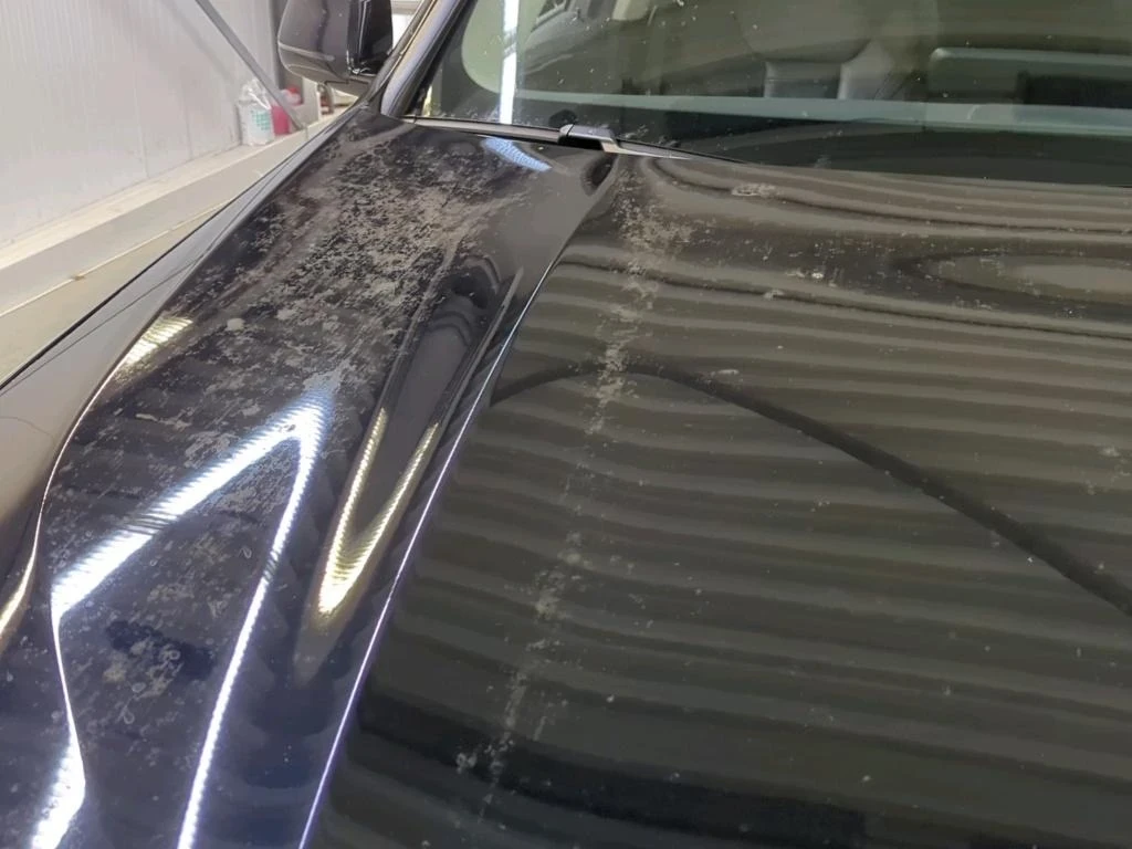 BMW iX3 80kwh Executive, снимка 11 - Автомобили и джипове - 55898075