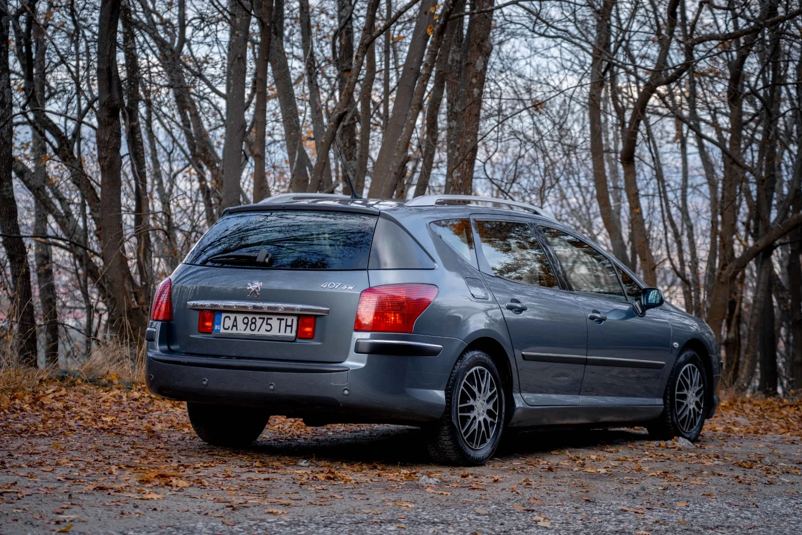 Peugeot 407  - изображение 4