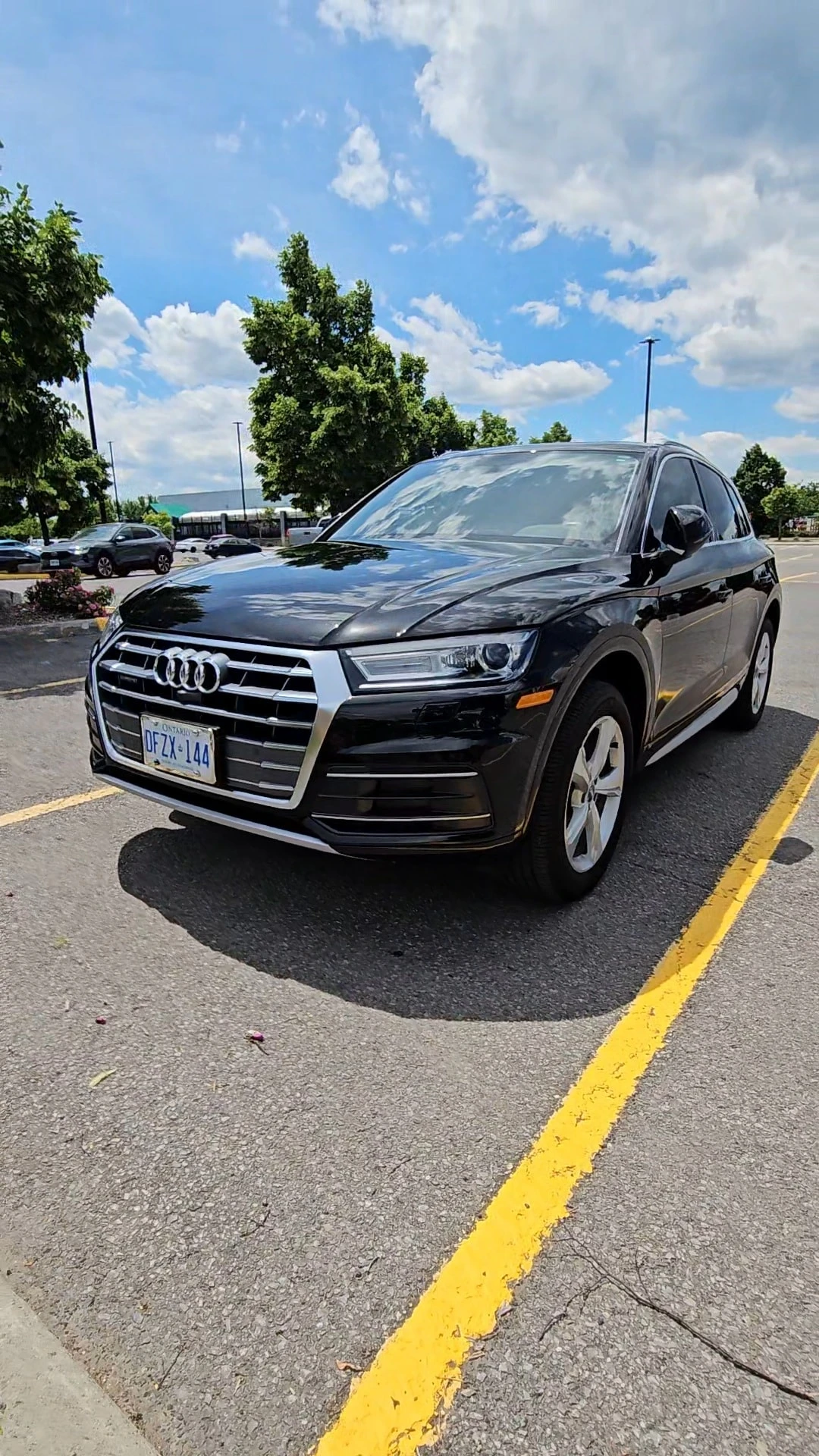 Audi Q5 * Progressiv * CARFAX * ОПЦИЯ ЗА ФИНАНСИРАНЕ, снимка 4 - Автомобили и джипове - 56156425