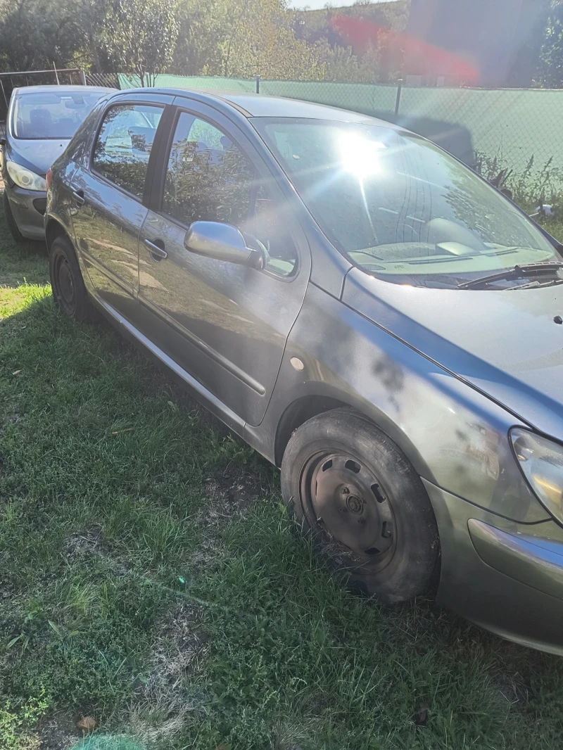 Peugeot 307, снимка 3 - Автомобили и джипове - 47326056