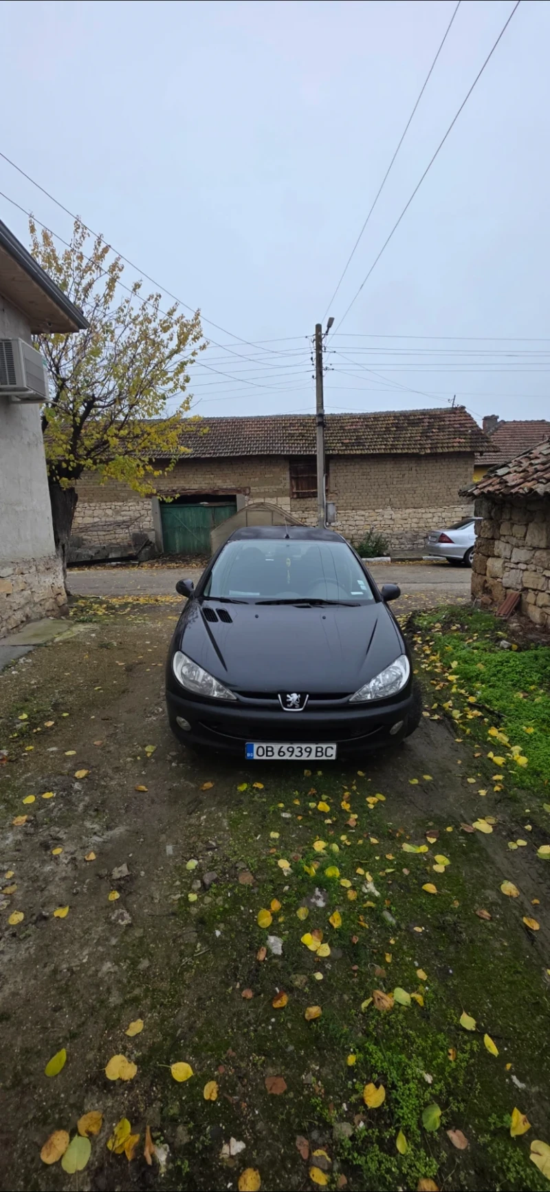 Peugeot 206