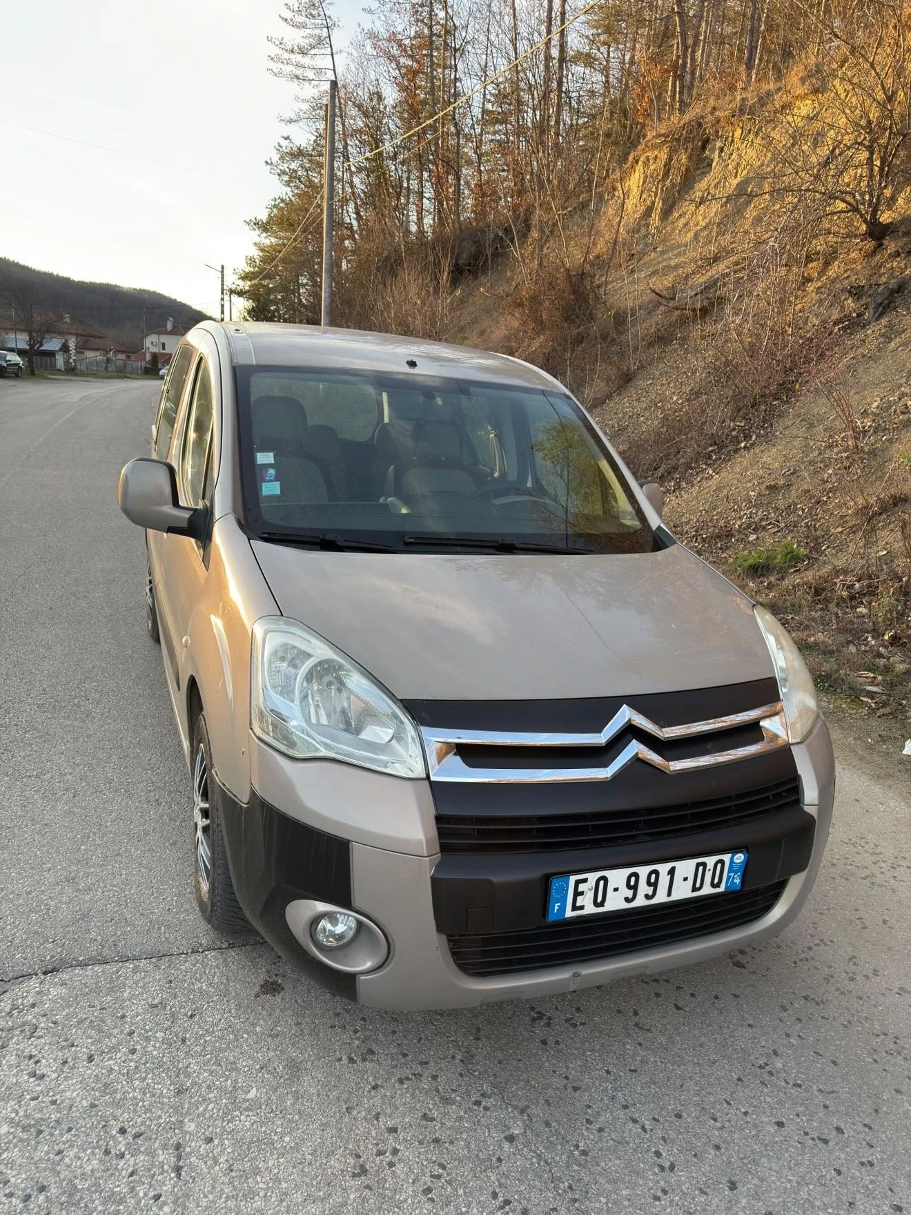 Citroen Berlingo 1.6 HDi, снимка 1