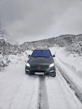 Mercedes-Benz ML 350 | Mobile.bg    5