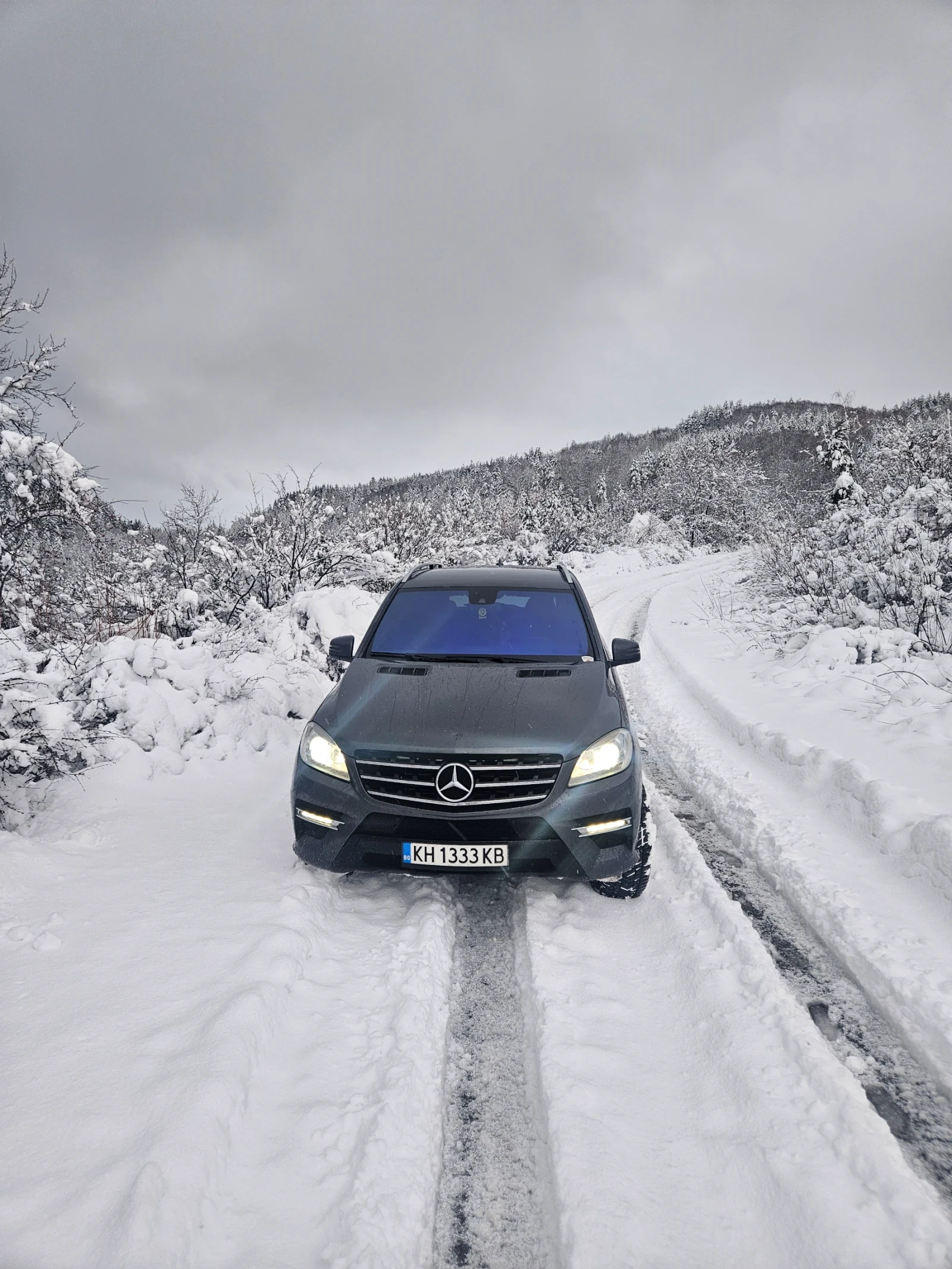 Mercedes-Benz ML 350  - изображение 5