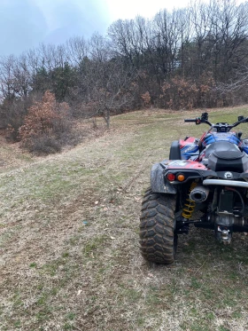 Can-Am Renеgade 800R, снимка 7