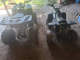 ����� �� �������� �� Telstar Enduro 2 ����