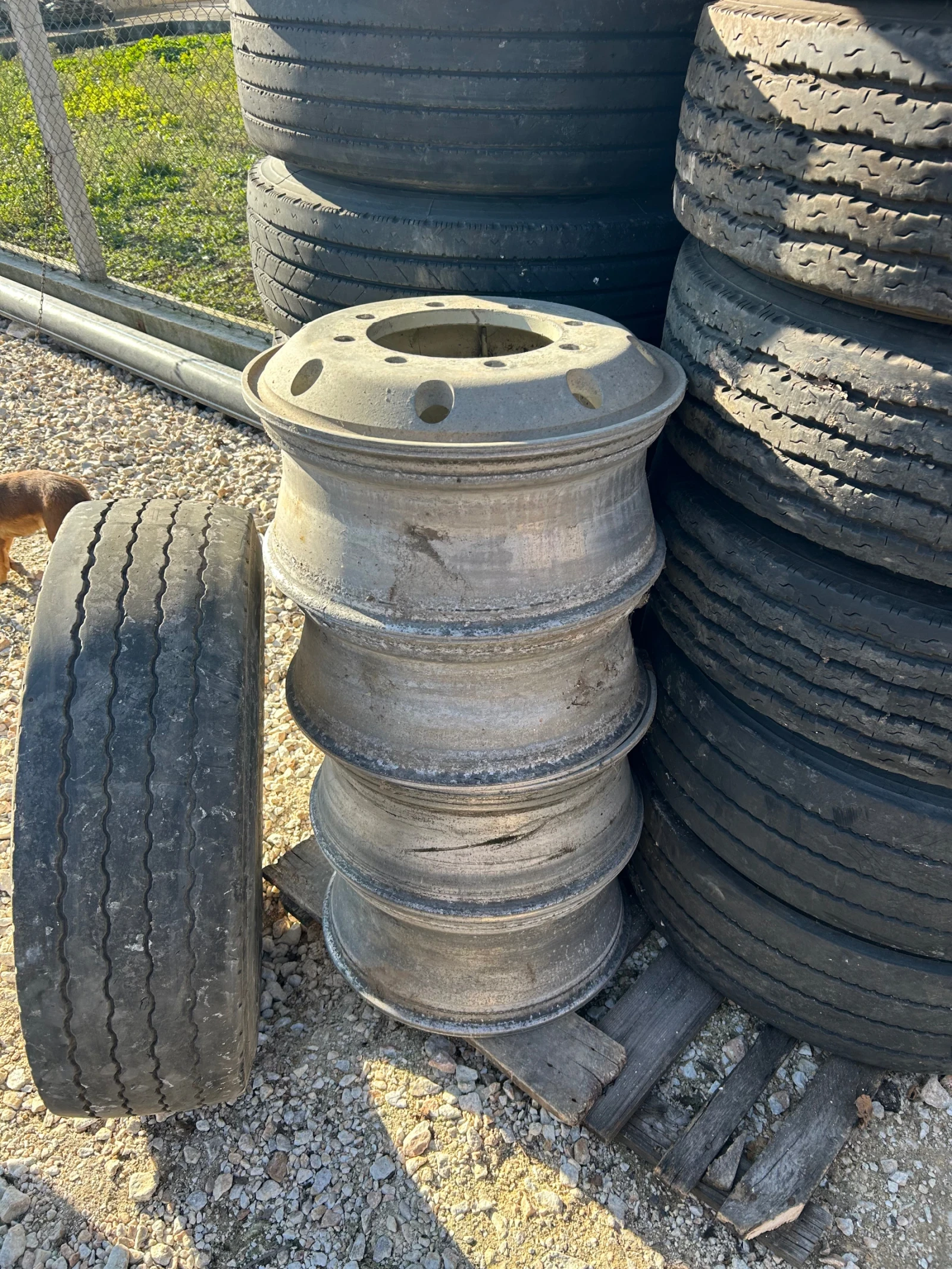 ���� � ������ 265/70R19.5 | Mobile.bg � ����������� 2
