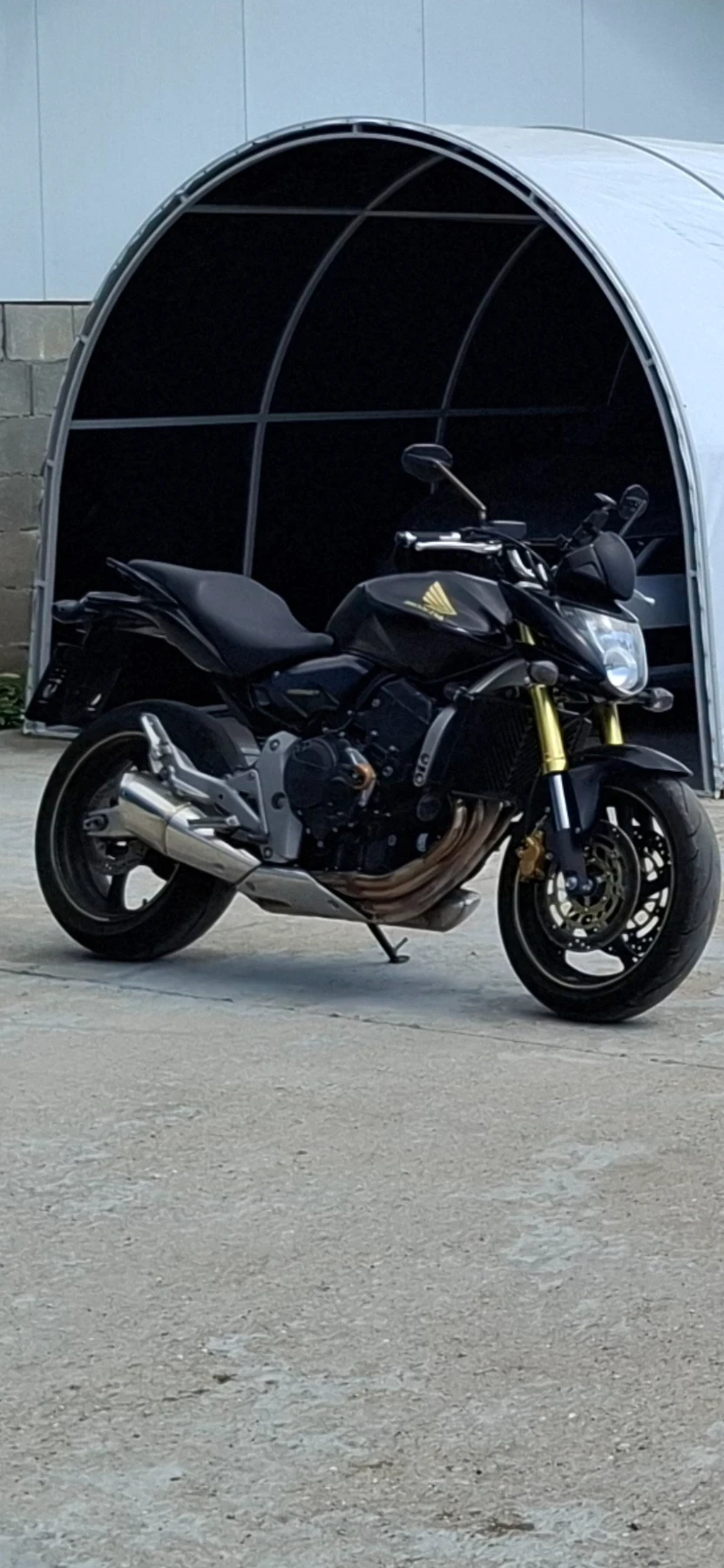 Honda Hornet