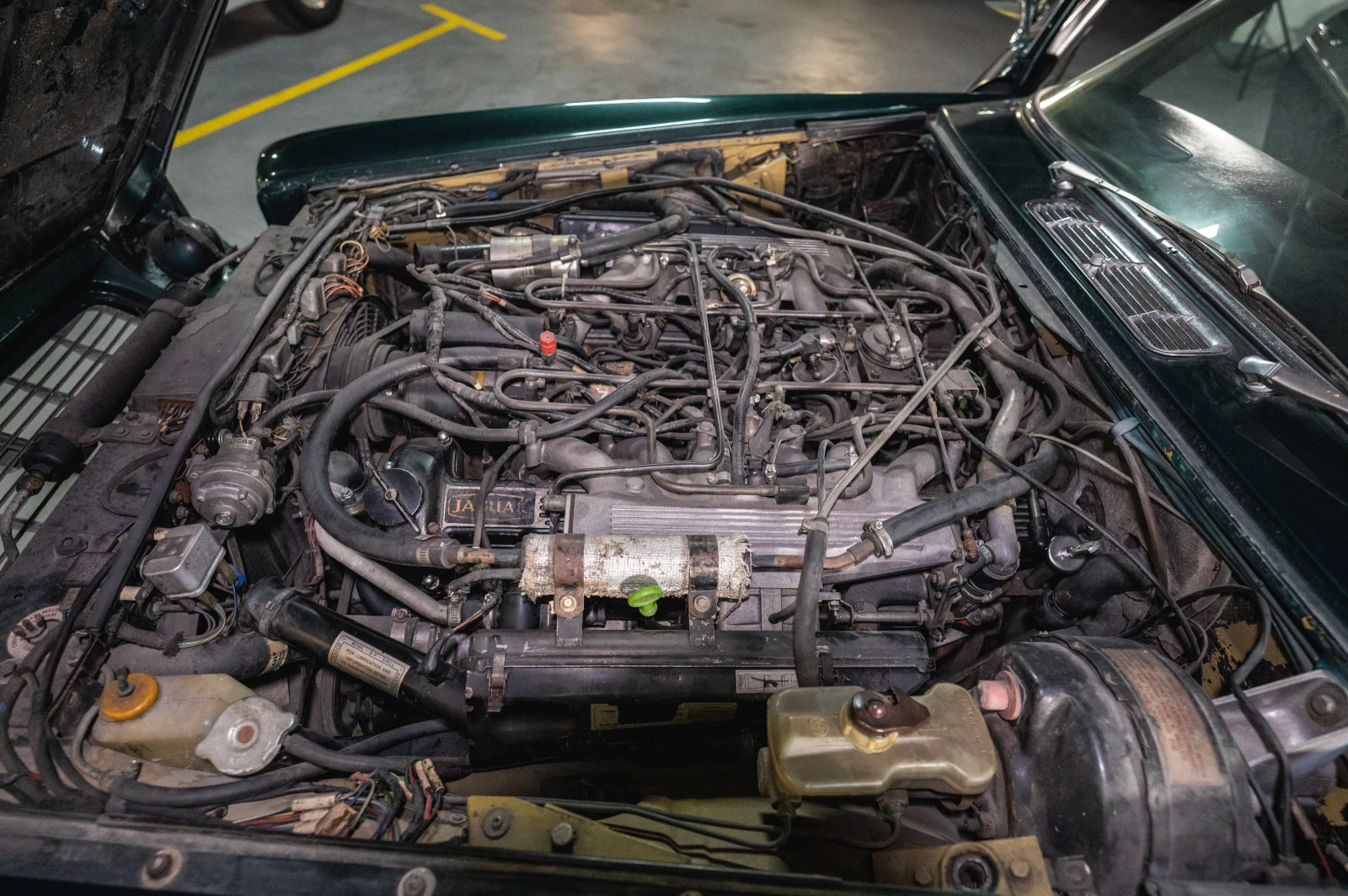 Jaguar Xj 76 type XJ12  | Mobile.bg   15