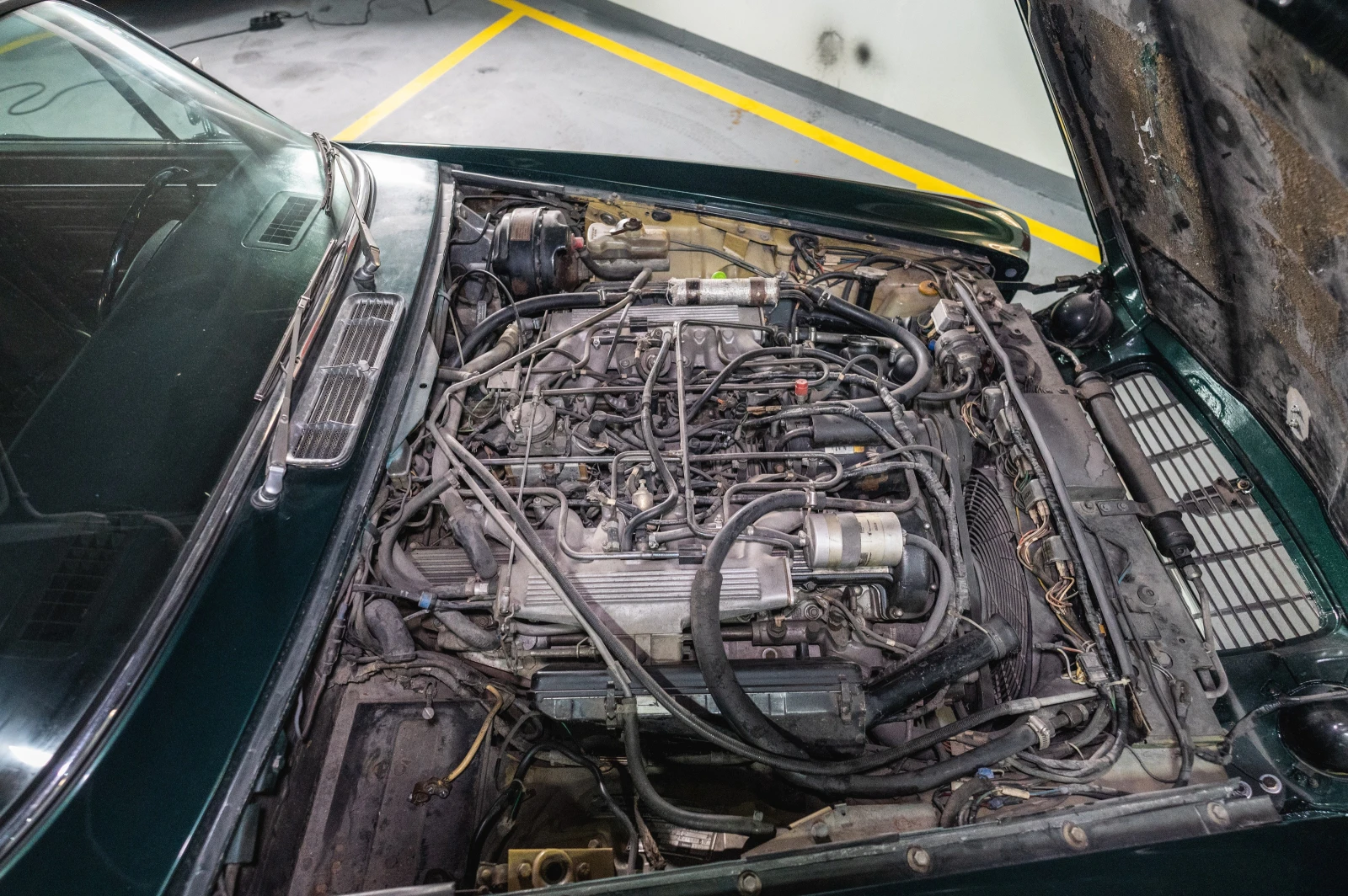 Jaguar Xj 76 type XJ12  | Mobile.bg   14