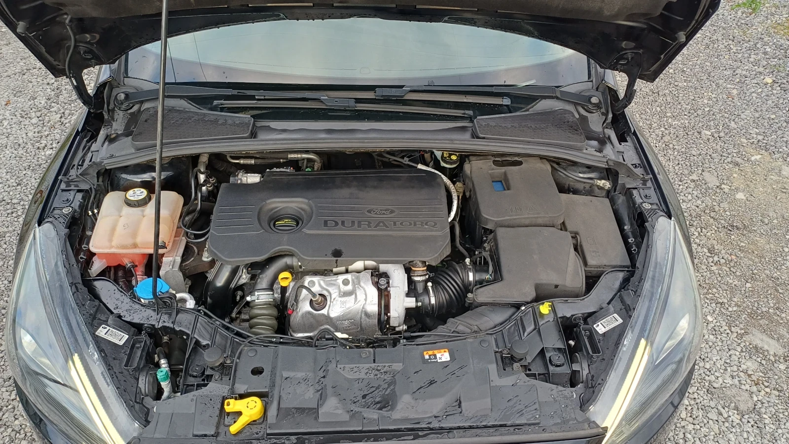 Ford Focus ST-LINE EURO 6, снимка 13 - Автомобили и джипове - 54371295