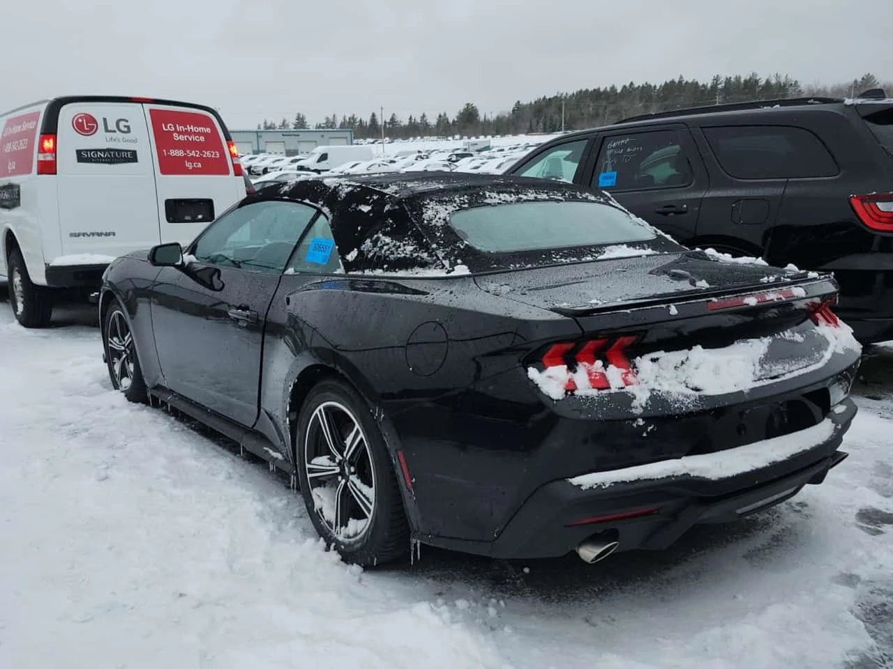 Ford Mustang * ECOBOOST * CARFAX * ЦЕНА ДО БГ, снимка 4 - Автомобили и джипове - 54001029