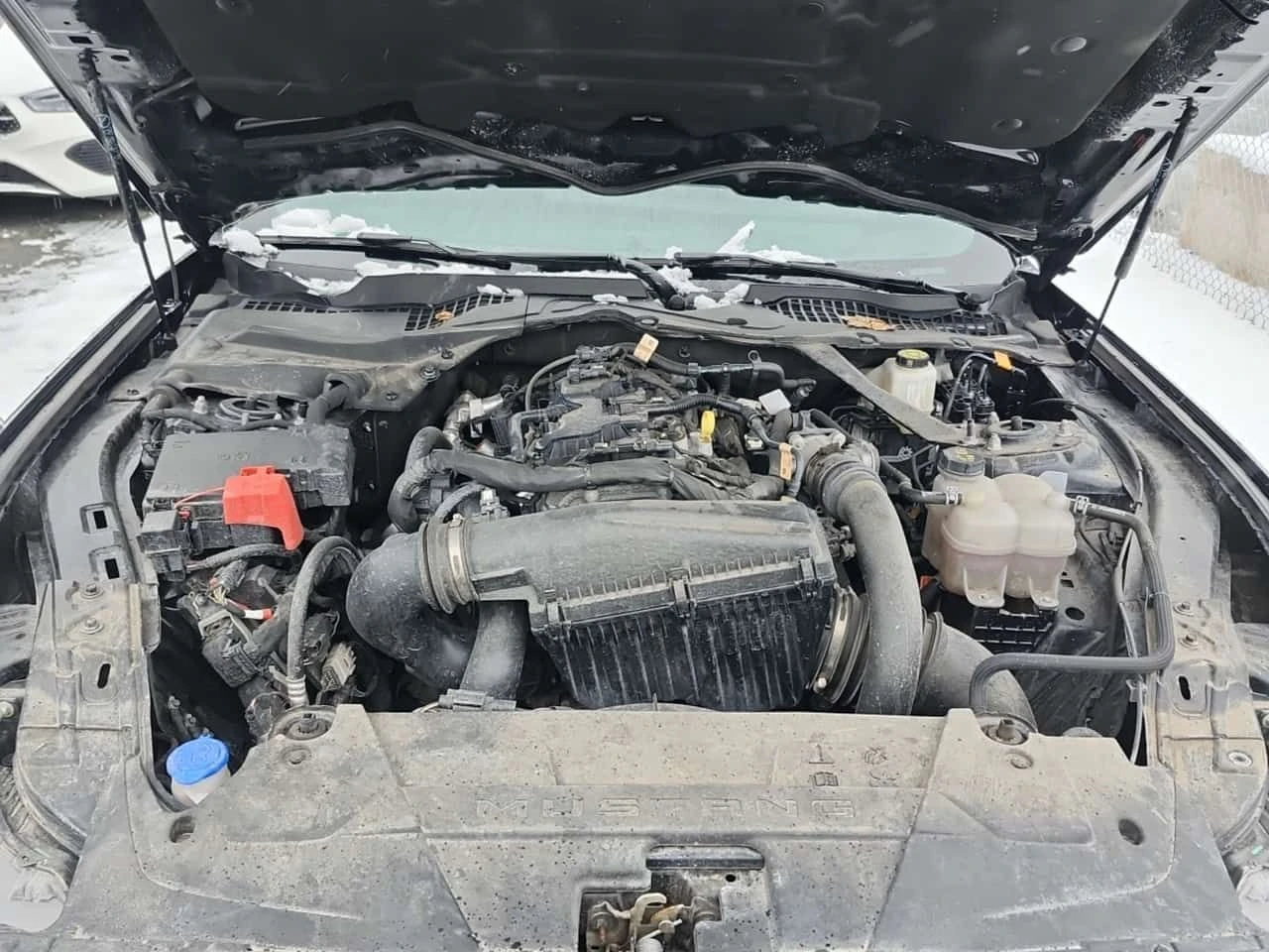 Ford Mustang * ECOBOOST * CARFAX * ЦЕНА ДО БГ, снимка 17 - Автомобили и джипове - 54001029