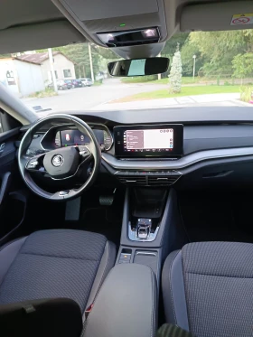 Skoda Octavia 2.0TDI/7DSG/PARKTRONIC - 19499 € / 38136.73 лв. - 29500185 9