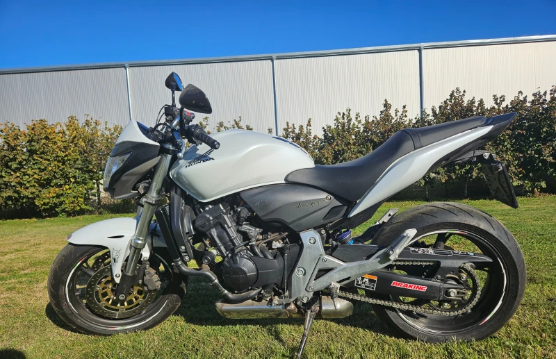 Honda Hornet
