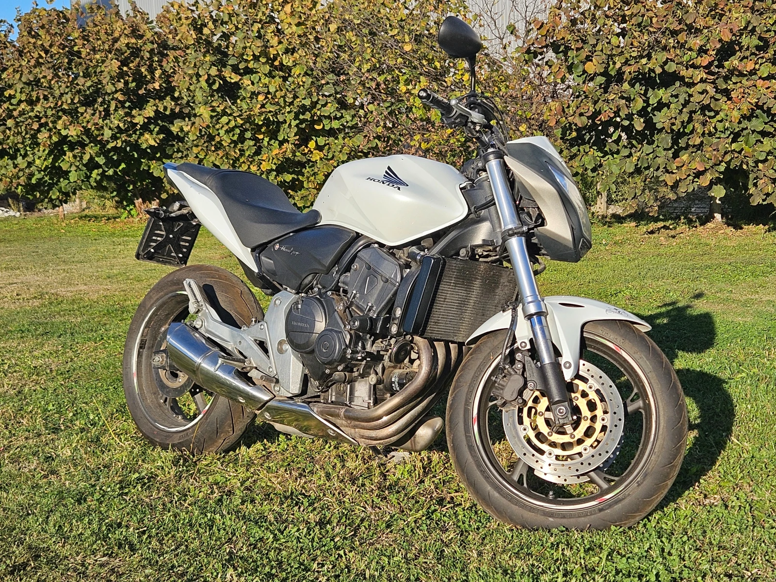 Honda Hornet  - изображение 4