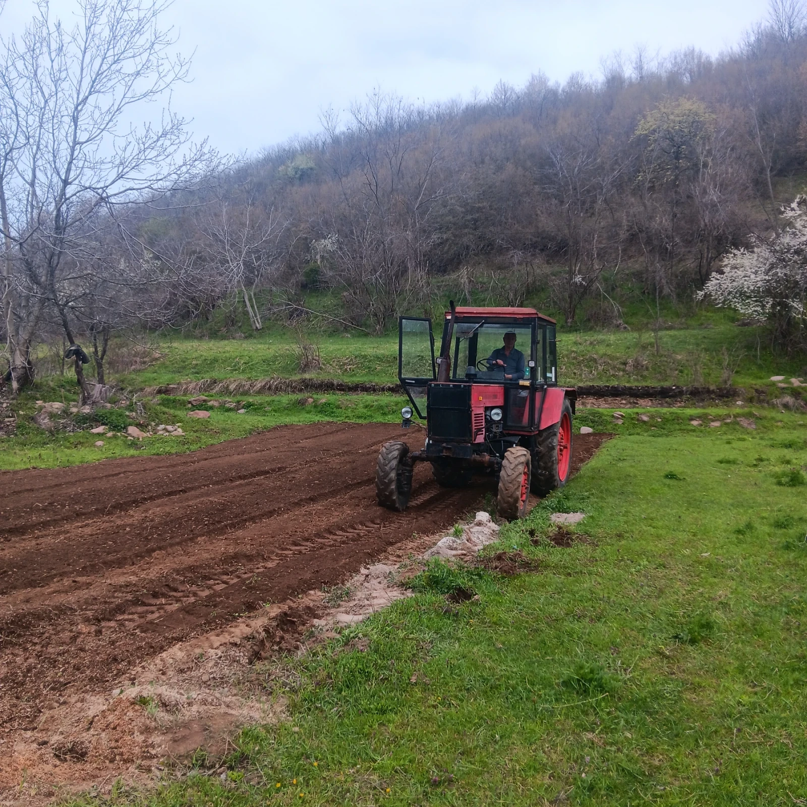 Трактор Болгар TK82, снимка 3 - Селскостопанска техника - 54215009