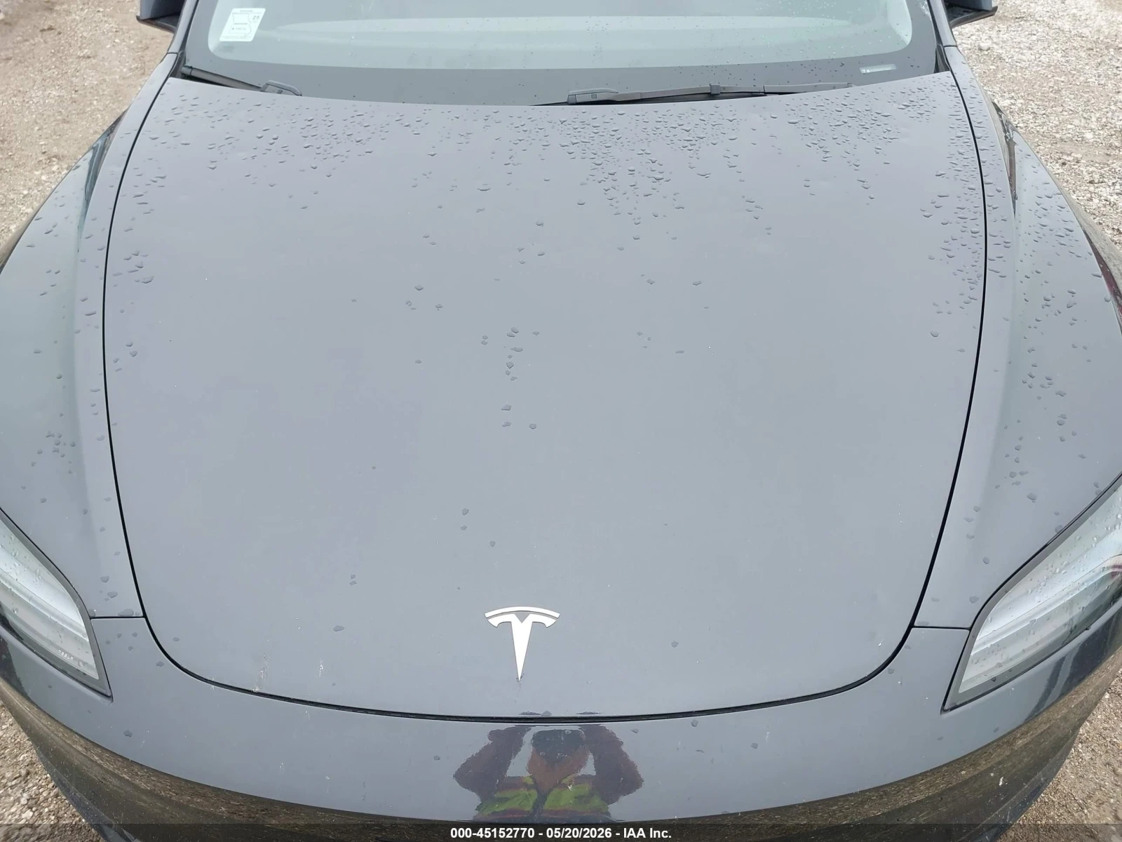 Tesla Model 3, снимка 10 - Автомобили и джипове - 55173188