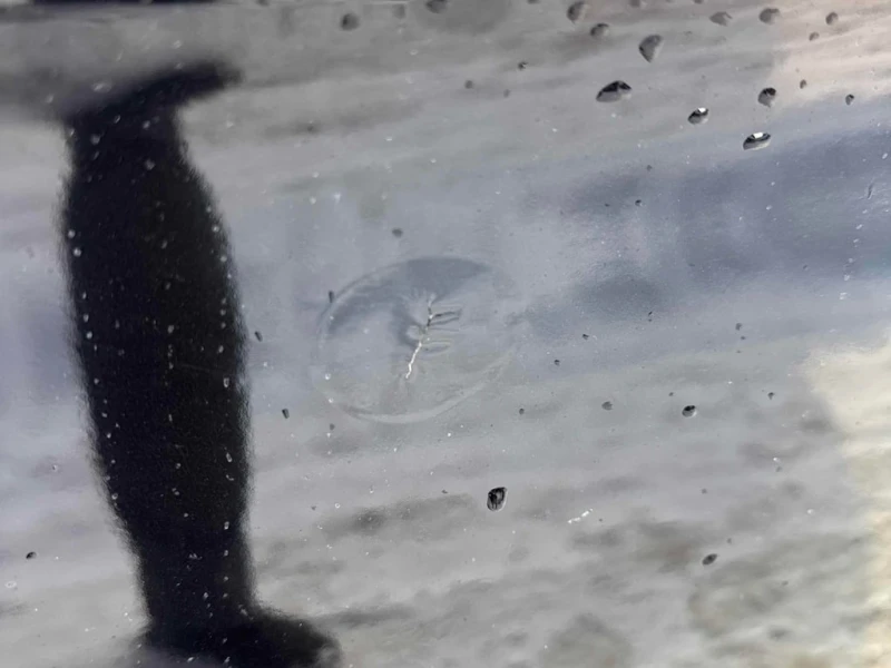 Mercedes-Benz ML 350 * BlueTEC * CARFAX * БЕЗ ПЪРВОНАЧАЛНА ВНОСКА, снимка 10 - Автомобили и джипове - 52777344