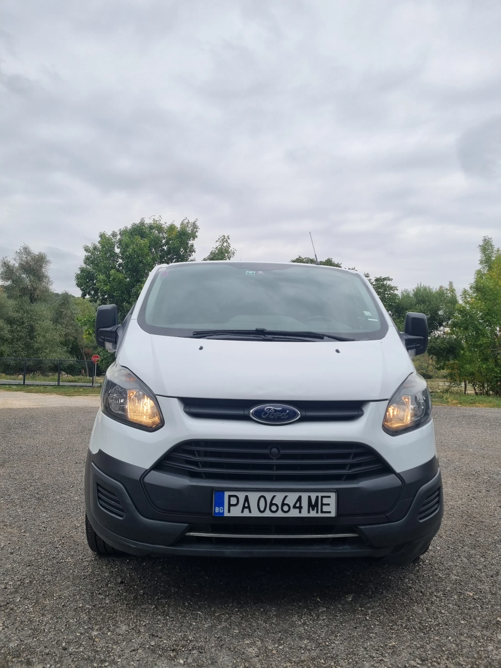 Ford Transit Custom, снимка 1