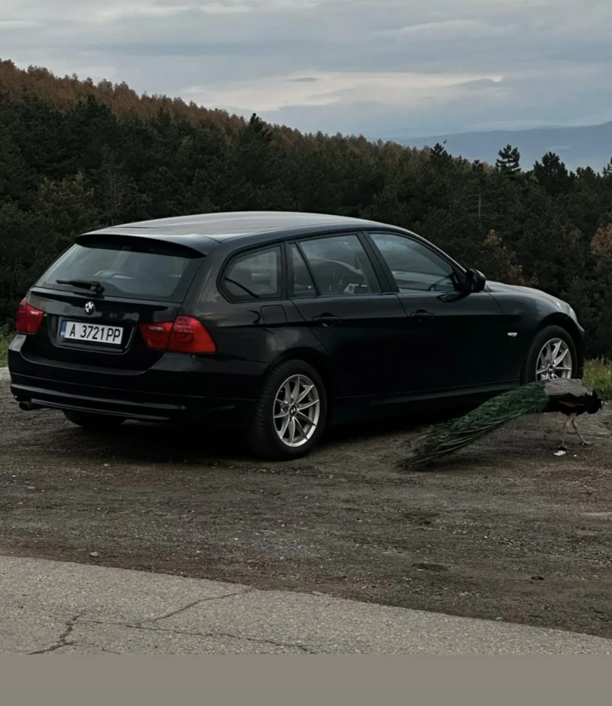 BMW 318, снимка 2 - Автомобили и джипове - 54284727